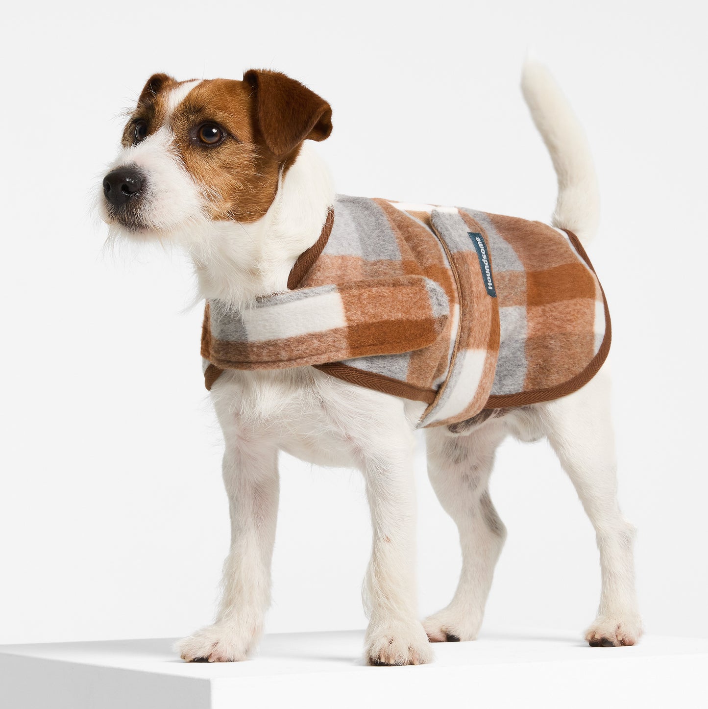 Dog Coat Wallaby