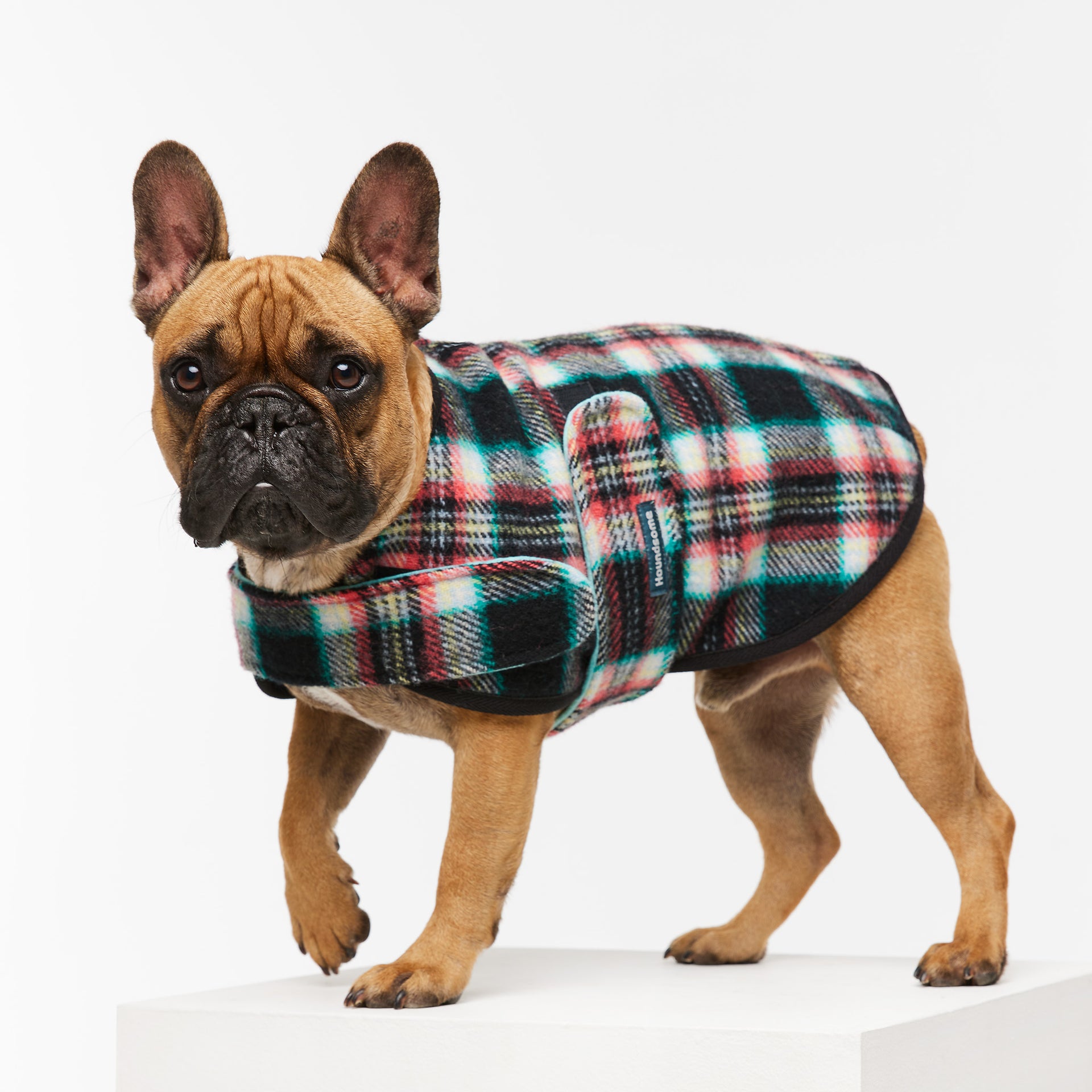 Frenchie Duncan Merino Sportcoat in Black Cockatoo with Teal