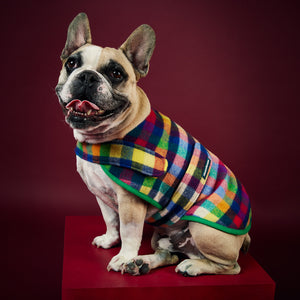 Frenchie Fit Duncan Dog Sportcoat in Grevillea Check with Green Trim