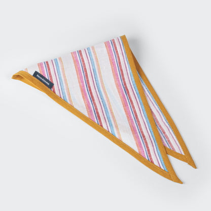 Dog Cravat Multi-Stripe Mustard