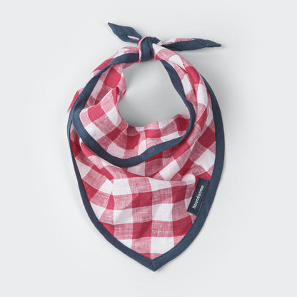 Dog Cravat Red Gingham Teal