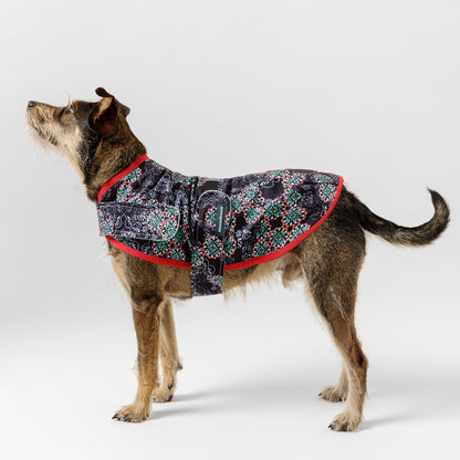 Dog Jacket Denim Capri