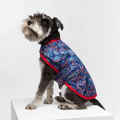 Dog Jacket Denim Wisteria