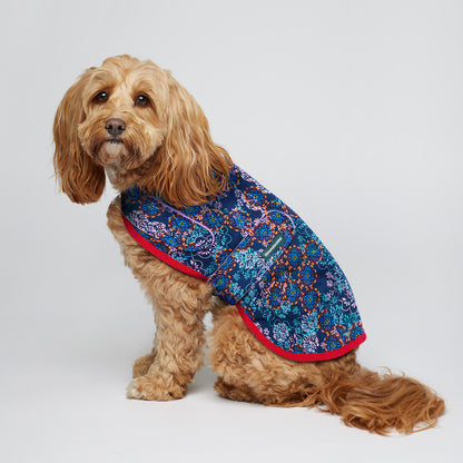 Dog Jacket Denim Wisteria
