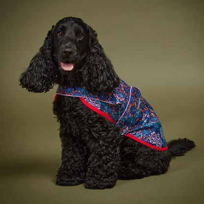 Dog Jacket Denim Wisteria