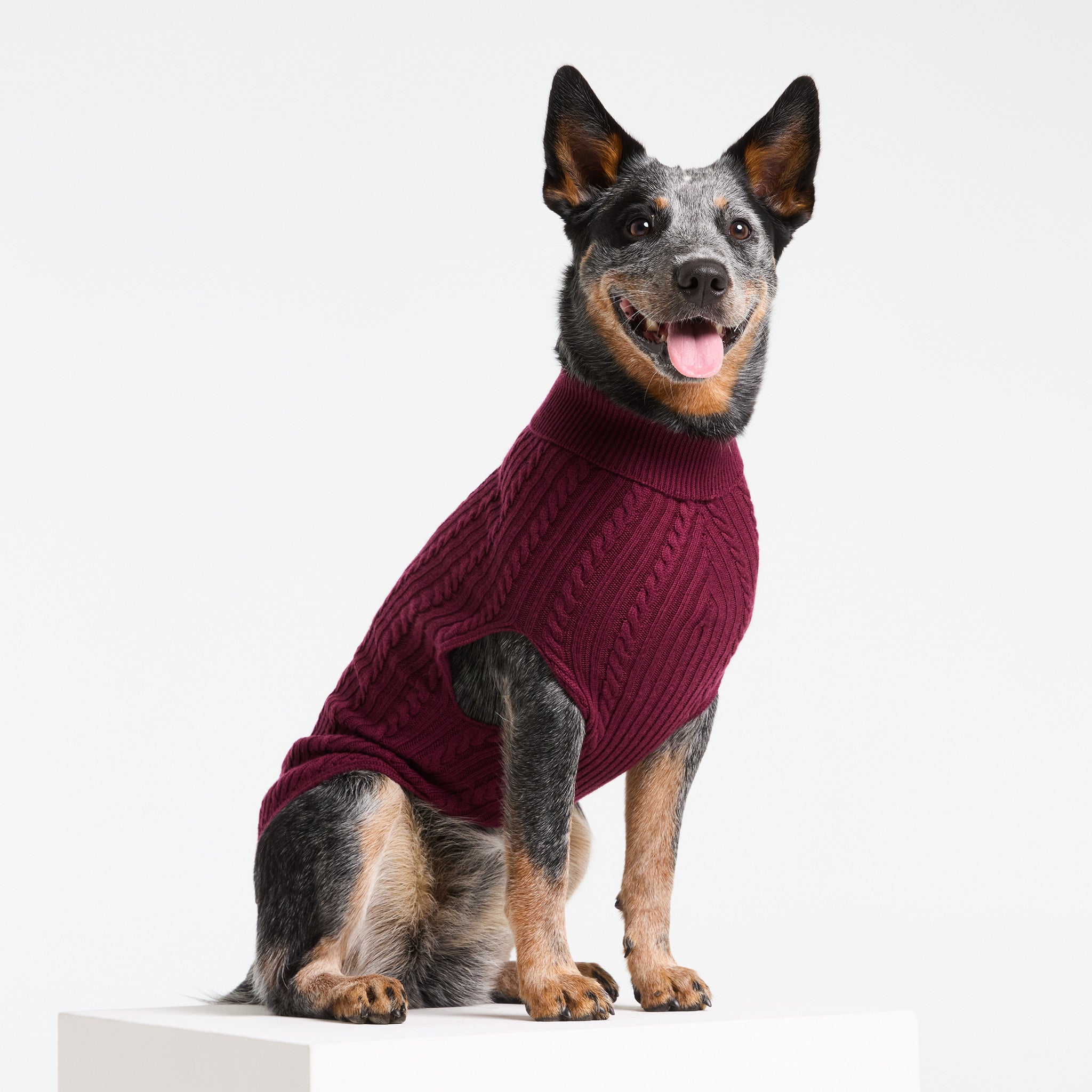 Cable Knit Turtleneck in Barossa – Houndsome