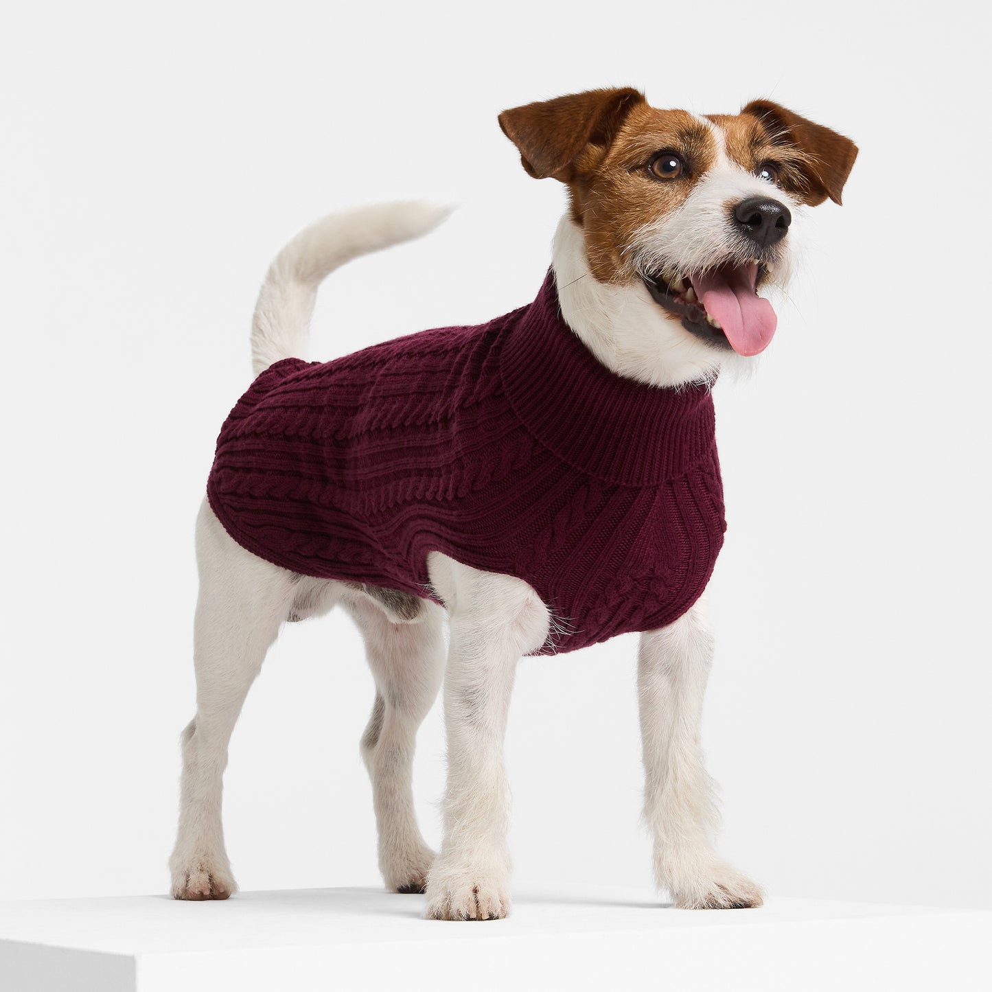Dog Sweater Barossa