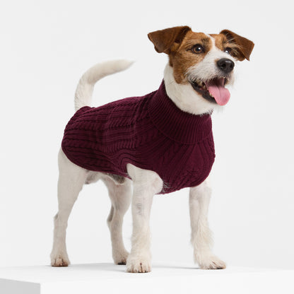 Dog Sweater Barossa