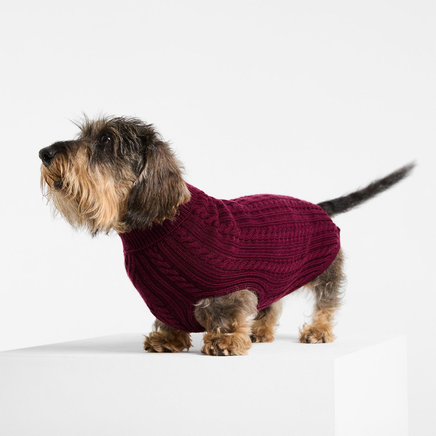 Dog Sweater Barossa