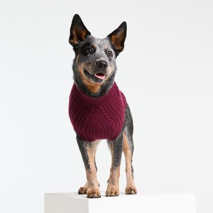Dog Sweater Barossa