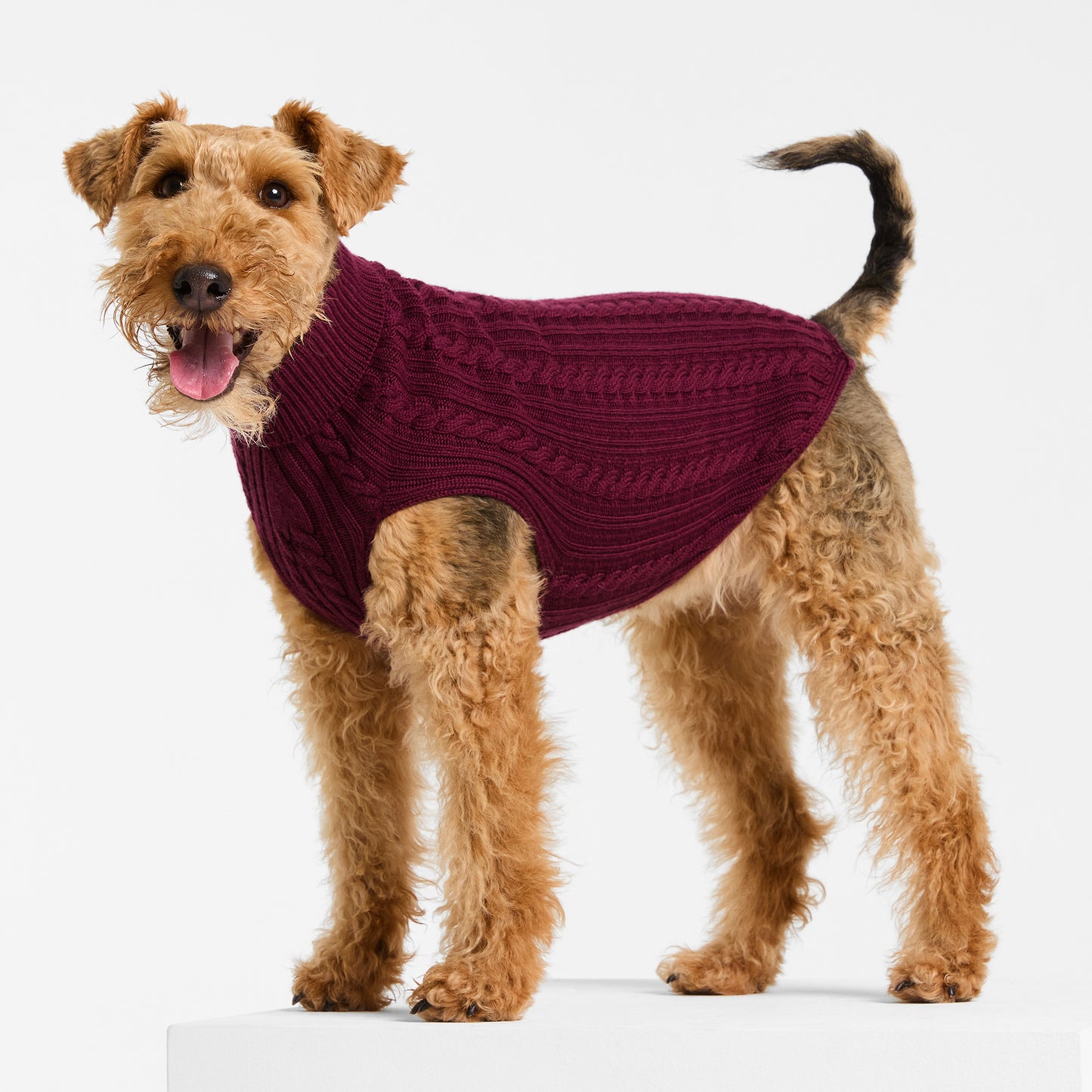 Dog Sweater Barossa