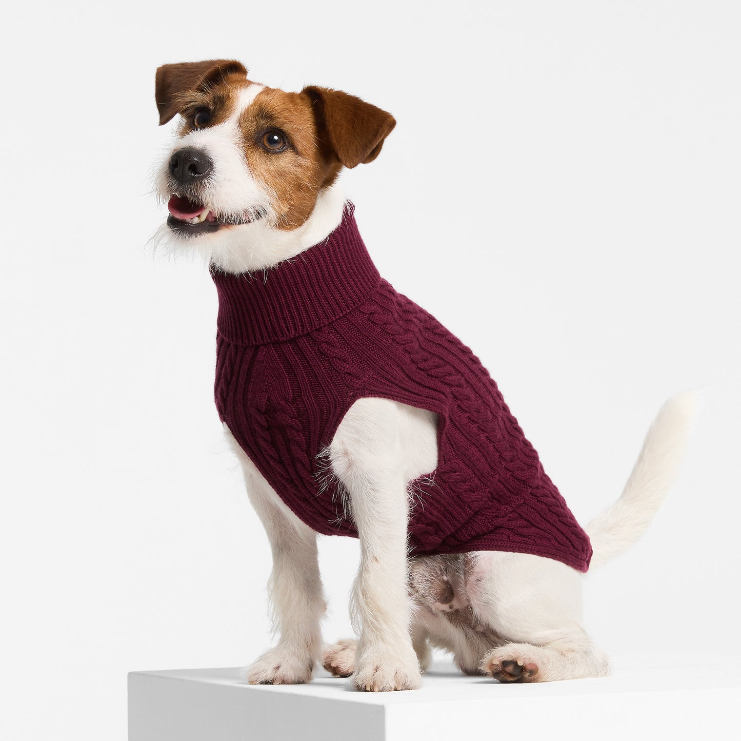 Dog Sweater Barossa