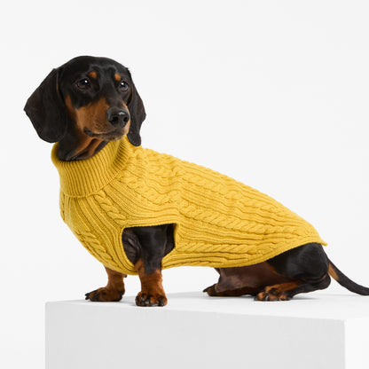 Dog Sweater Billy Button