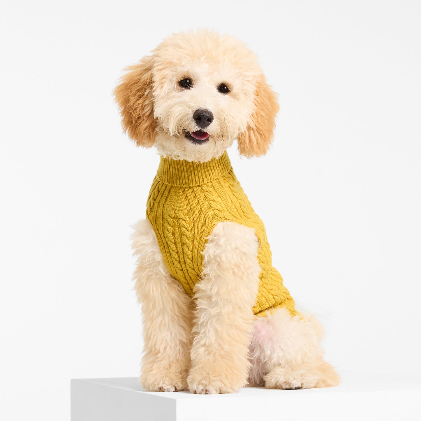 Dog Sweater Billy Button