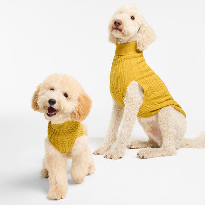 Dog Sweater Billy Button