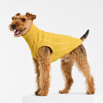 Dog Sweater Billy Button