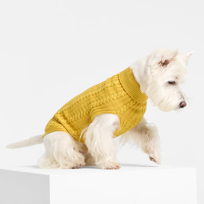 Dog Sweater Billy Button