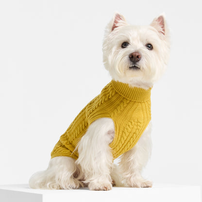 Dog Sweater Billy Button