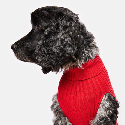 Dog Sweater Callistemon