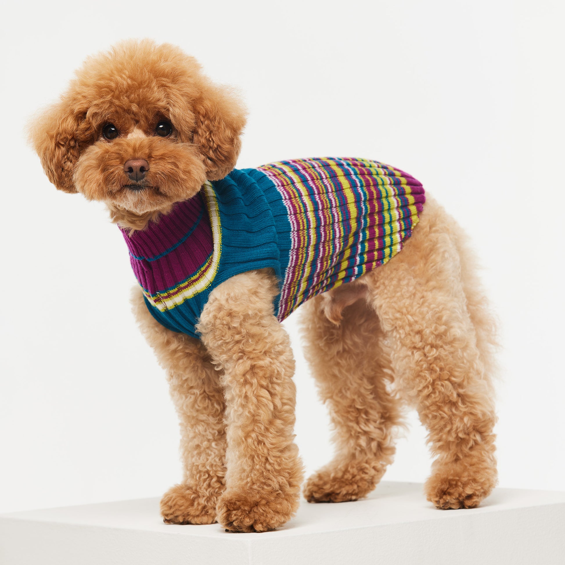 May Merino Wool Turtleneck in Waratah – Houndsome