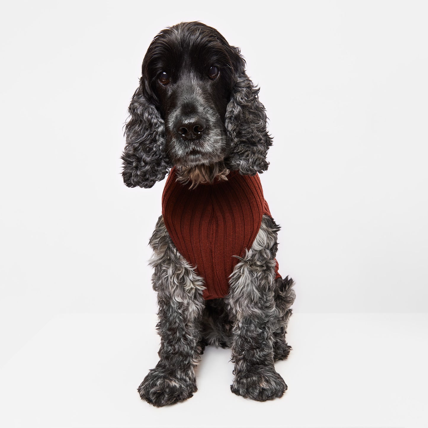Dog Sweater Tussock