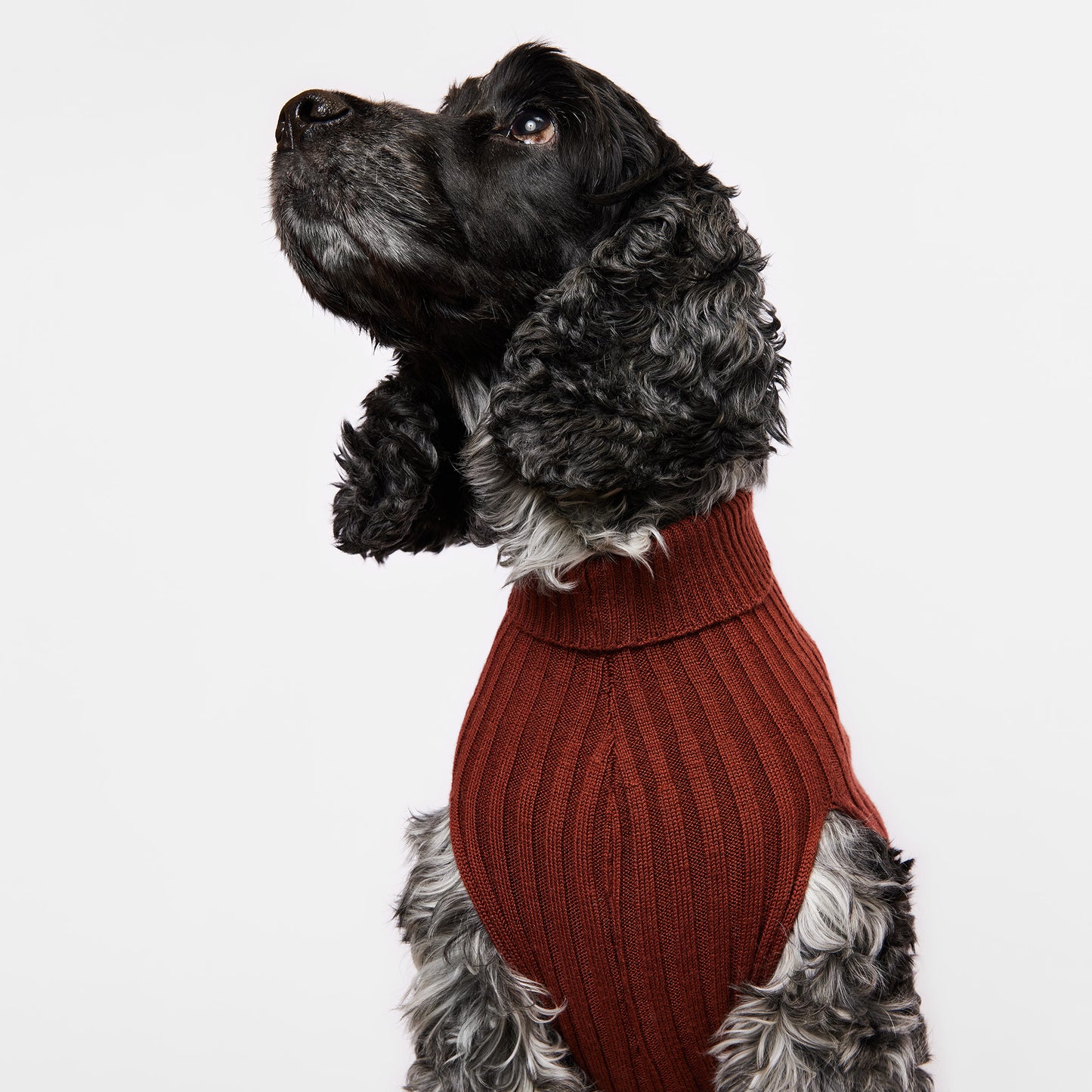 Dog Sweater Tussock