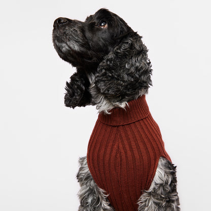 Dog Sweater Tussock