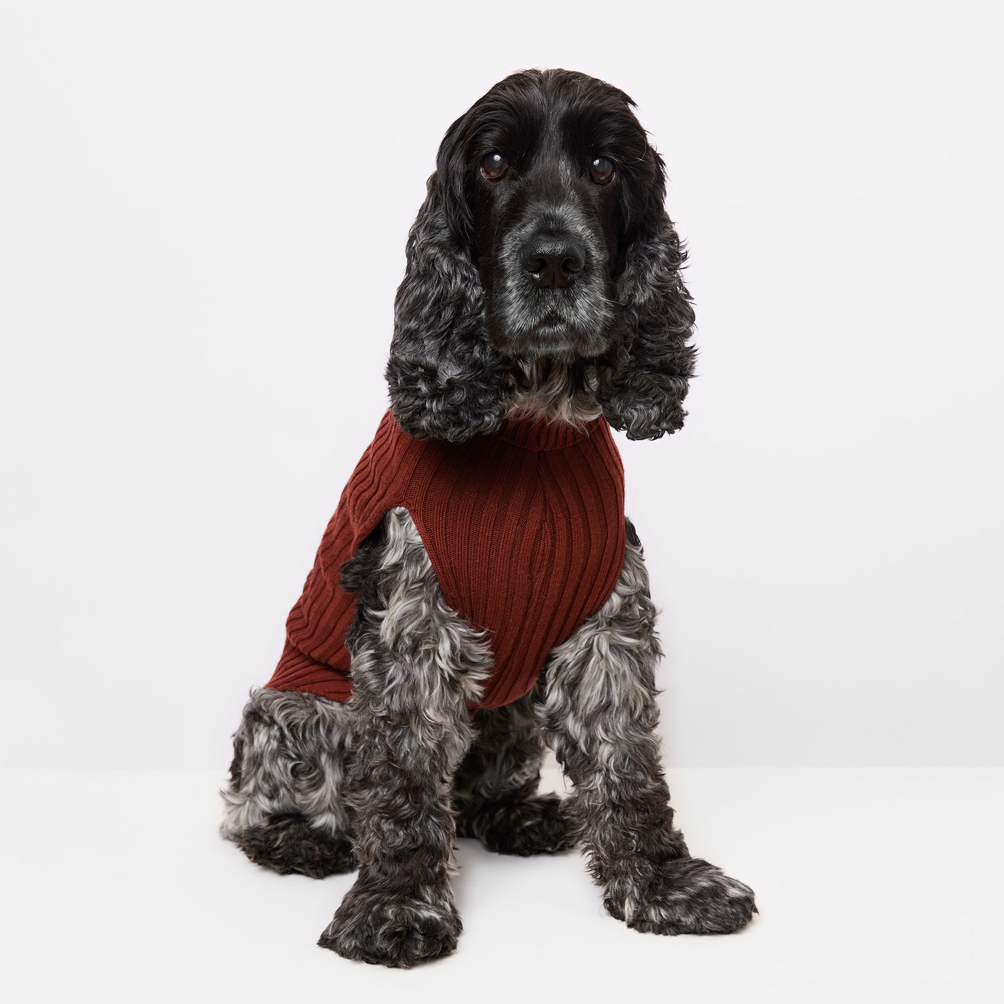 Dog Sweater Tussock