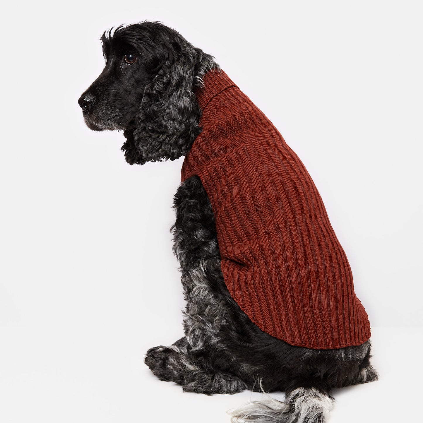 Dog Sweater Tussock
