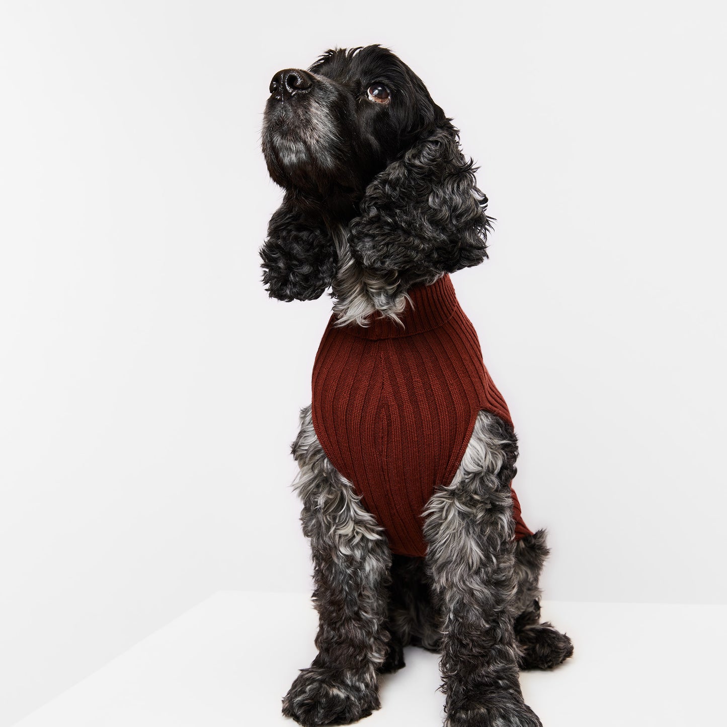 Dog Sweater Tussock