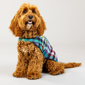 Duncan Dog Sportcoat in Banksia Check