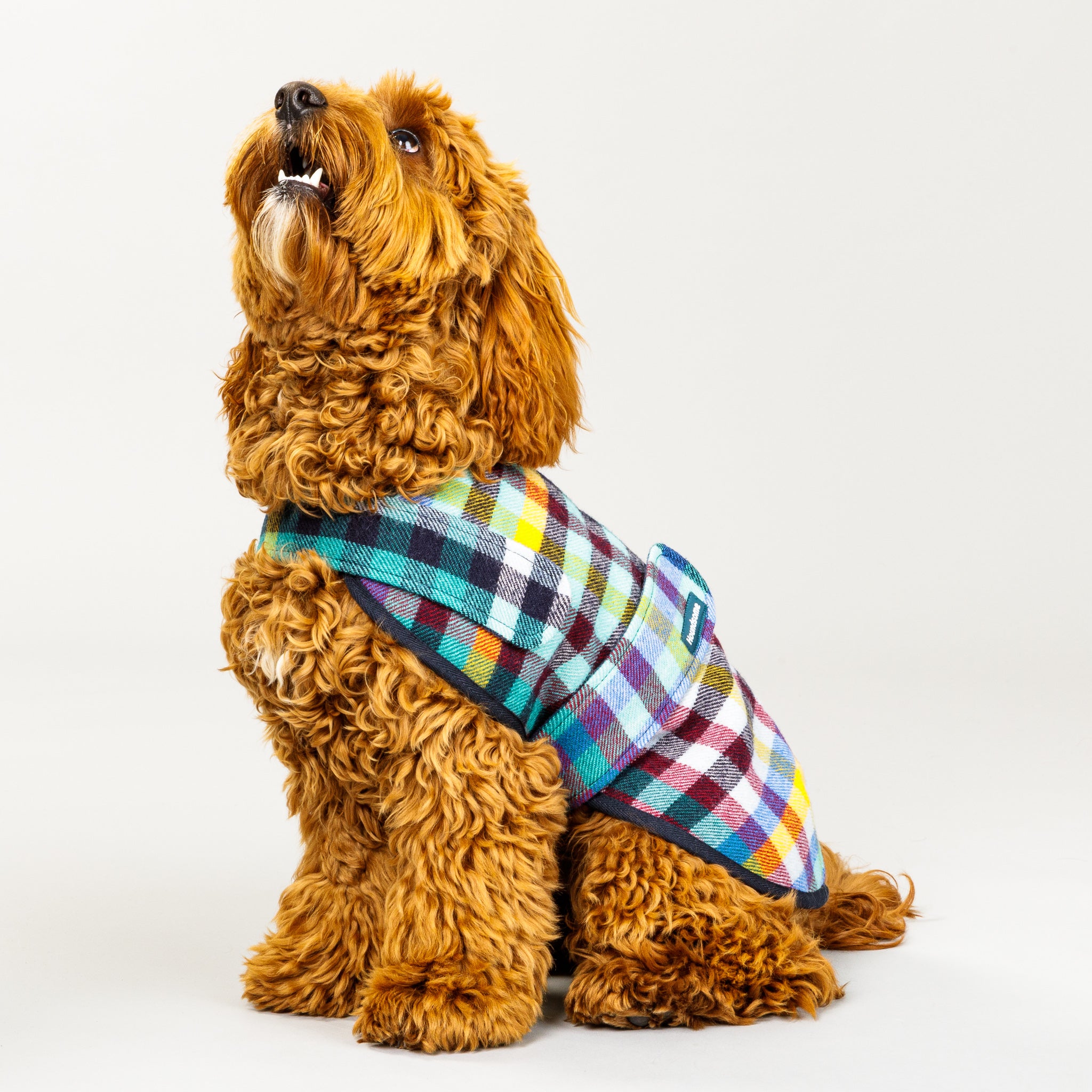 Duncan Dog Sportcoat (with harness opening) in Banksia Check