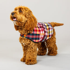 Duncan Dog Sportcoat in Lilly Pilly Check