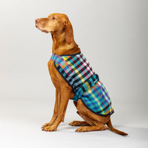 Duncan Dog Sportcoat (with harness opening) in Banksia Check