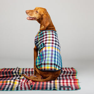Duncan Dog Sportcoat in Banksia Check