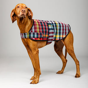 Duncan Dog Sportcoat in Lilly Pilly Check