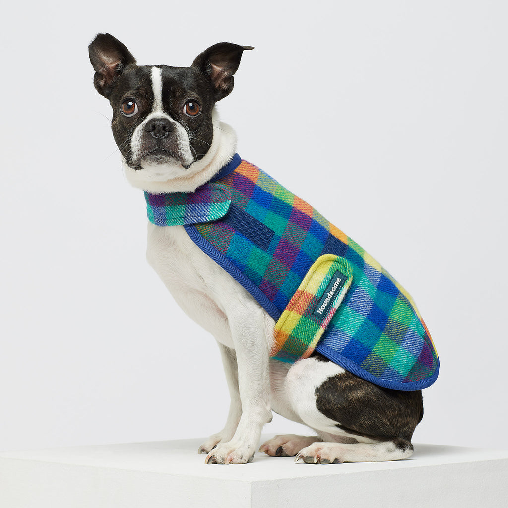 Duncan Dog Sportcoat (with harness opening) in Eucalypt Check with Blue Trim