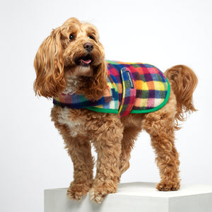 Duncan Dog Sportcoat (with harness opening) in Grevillea Check with Green Trim