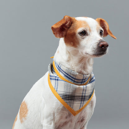 Dog Cravat Plaid Mustard