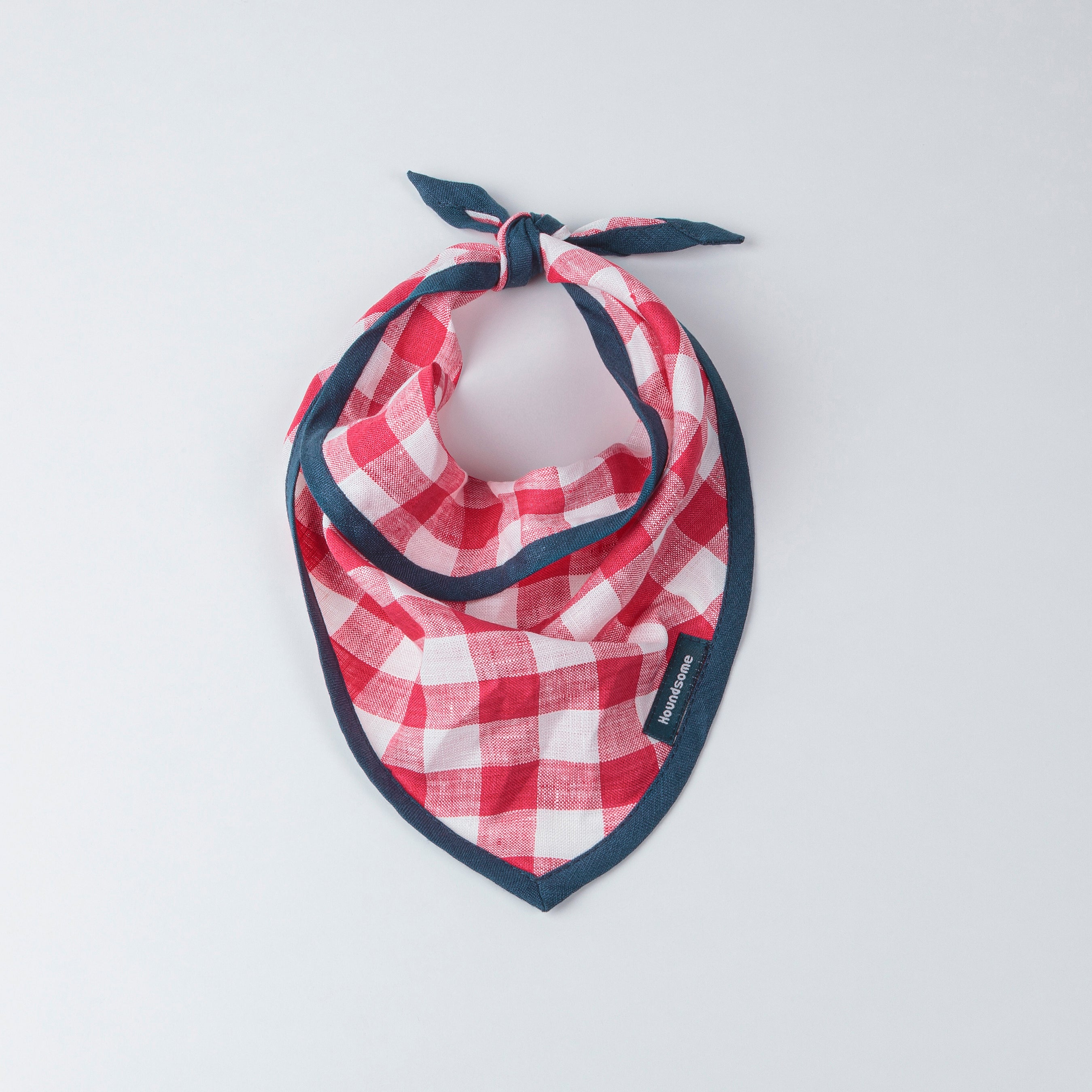 Dog Cravat Red Gingham with Teal Trim