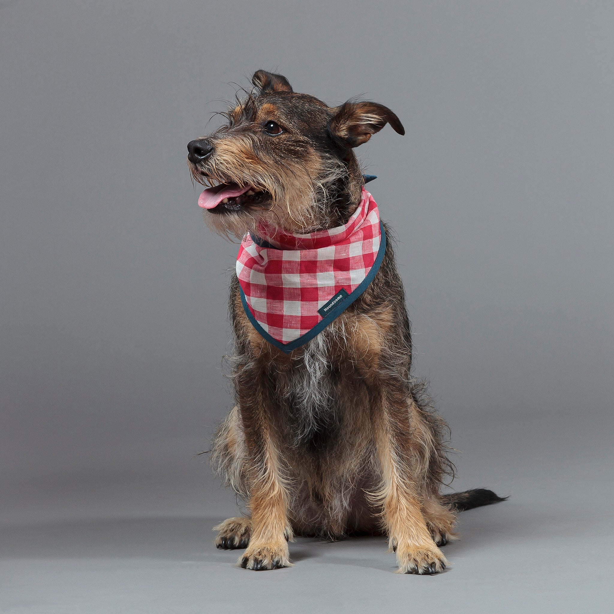 Dog Cravat Red Gingham with Teal Trim