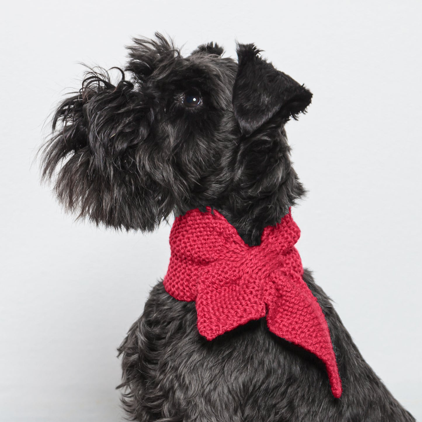 Dog Scarf Cerise Small