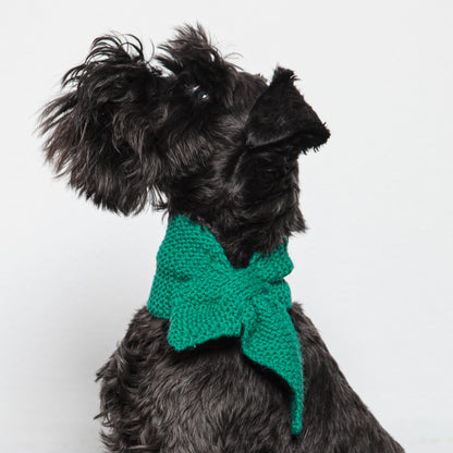 Dog Scarf Sea Small